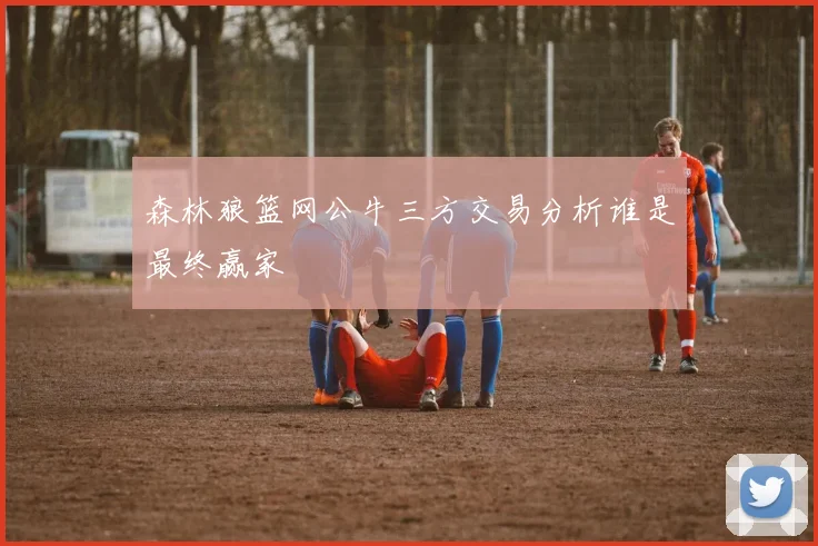 森林狼篮网公牛三方交易分析谁是最终赢家