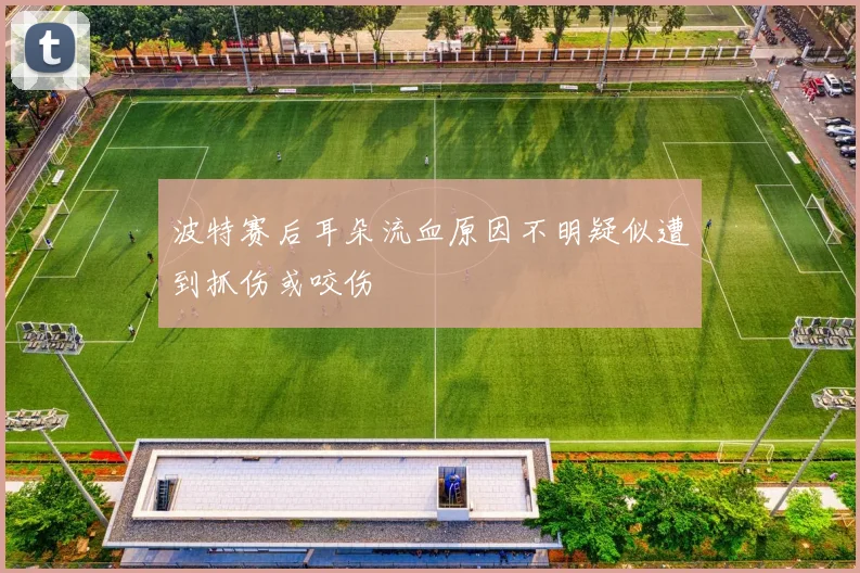 波特赛后耳朵流血原因不明疑似遭到抓伤或咬伤